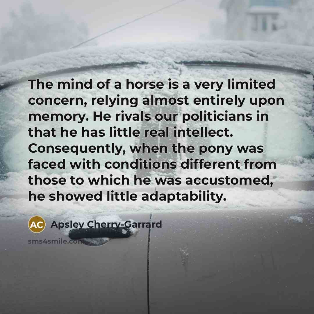 “The mind of a horse is a very limited concern,…” quote by Apsley Cherry-Garrard