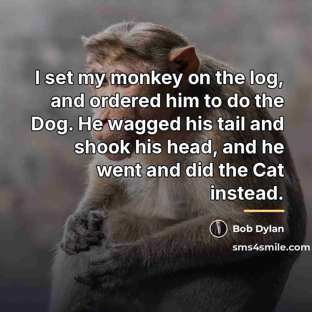 “I set my monkey on the log, and ordered him…” quote by Bob Dylan