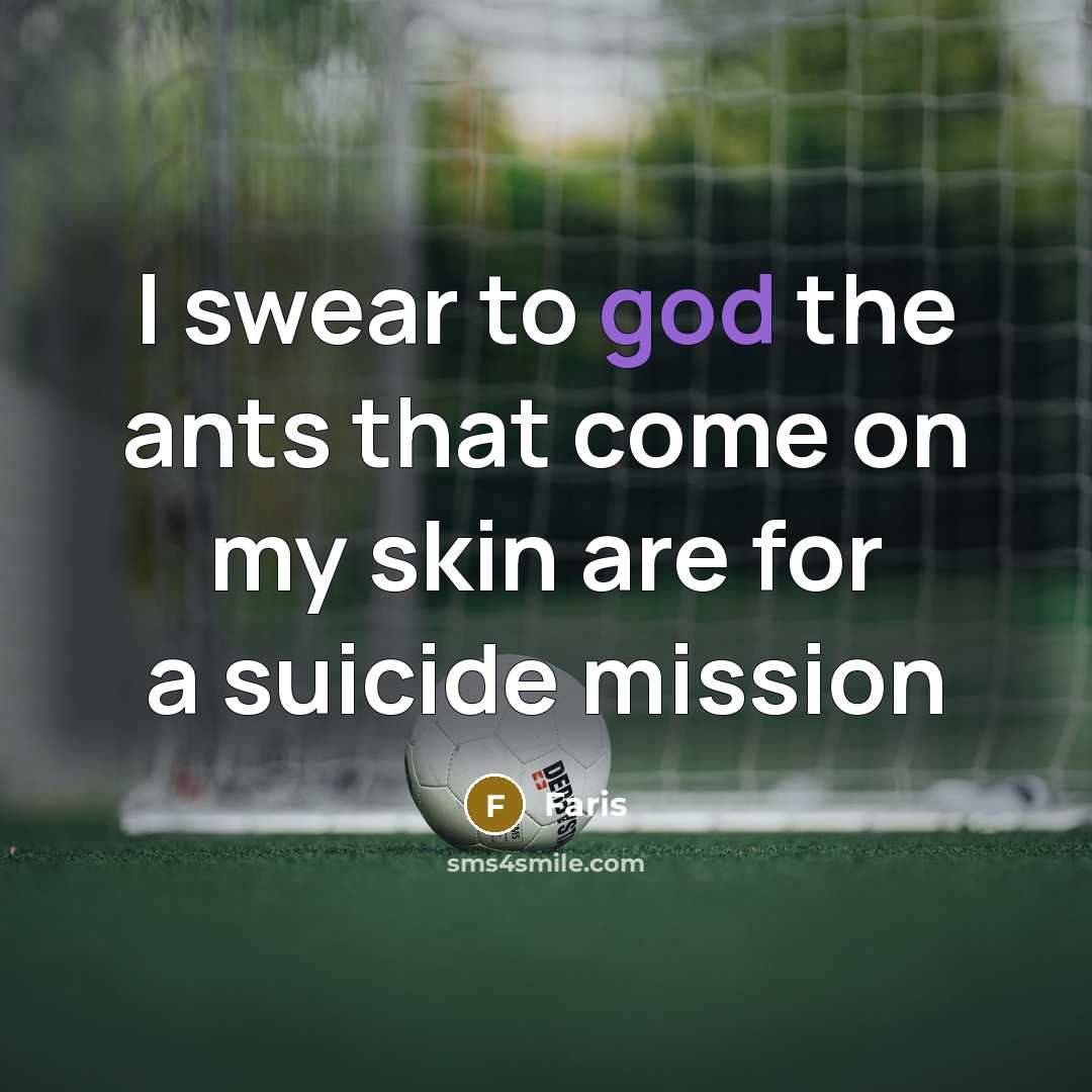 “I swear to god the ants that come on my…” quote by Faris