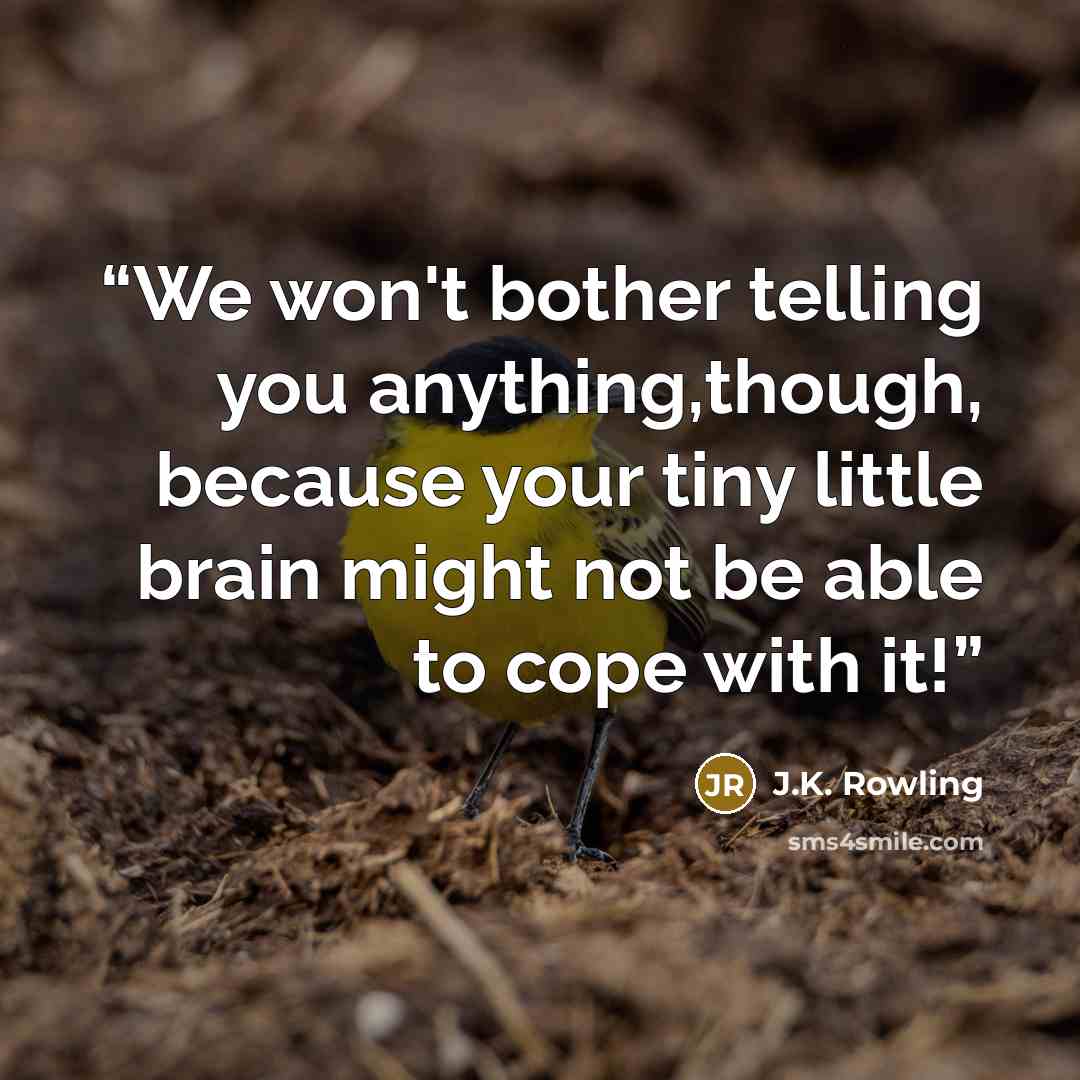 “We won't bother telling you anything,though, because your tiny little brain might not be able to cope with it!” quote by J.K. Rowling