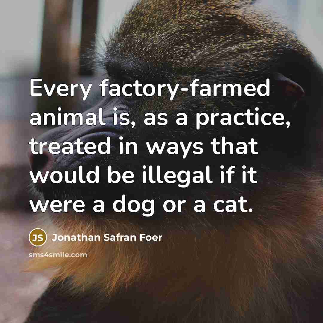 “Every factory-farmed animal is, as a practice, treated in ways…” quote by Jonathan Safran Foer