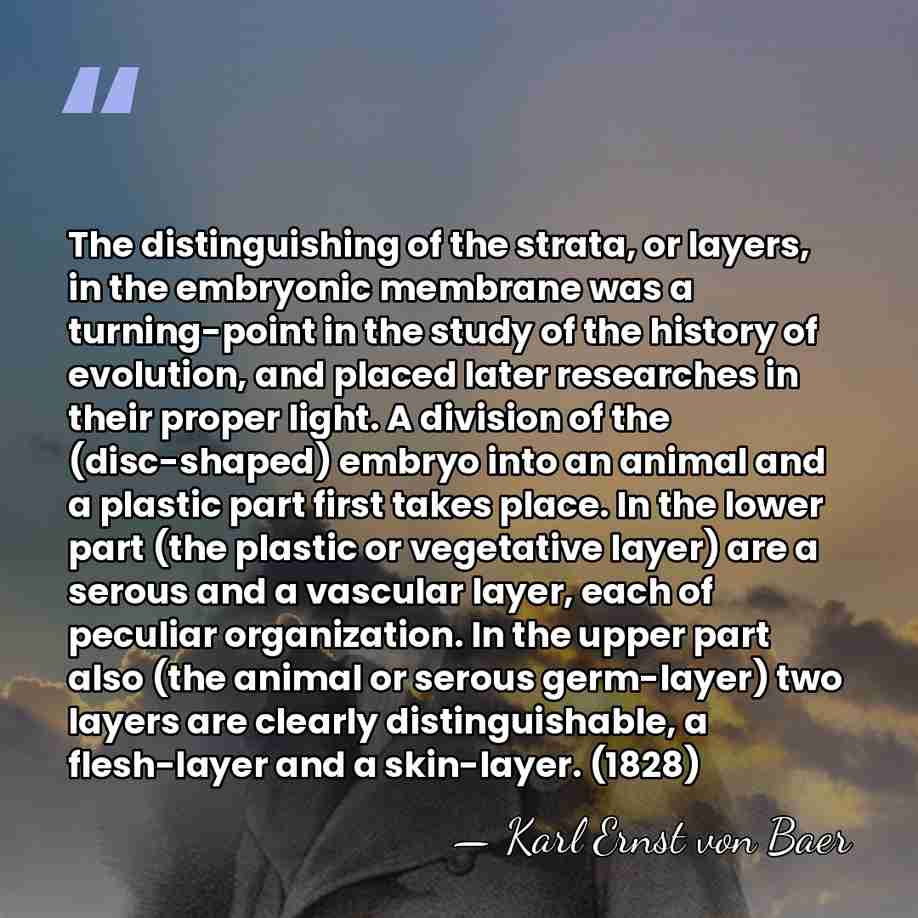 The distinguishing of the strata, or layers, in the embryonic membrane was&hellip; - Karl Ernst von Baer