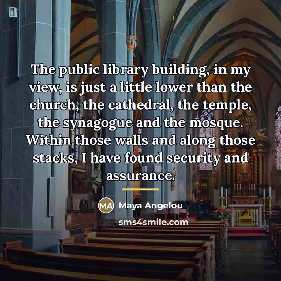 “The public library building, in my view, is just a…” quote by Maya Angelou