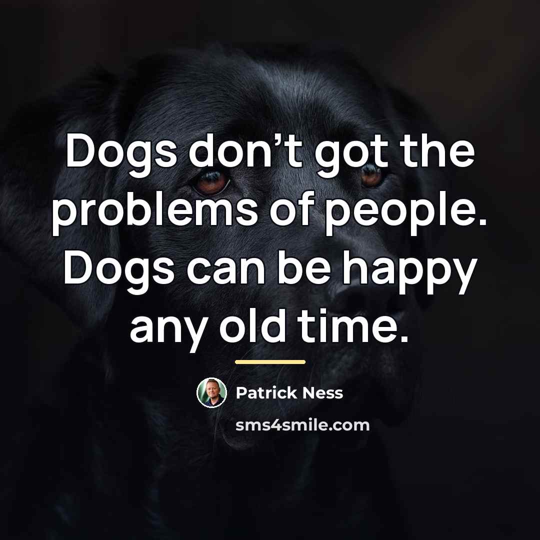 “Dogs don't got the problems of people. Dogs can be…” quote by Patrick Ness