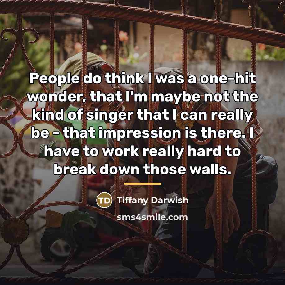 “People do think I was a one-hit wonder, that I'm…” quote by Tiffany Darwish