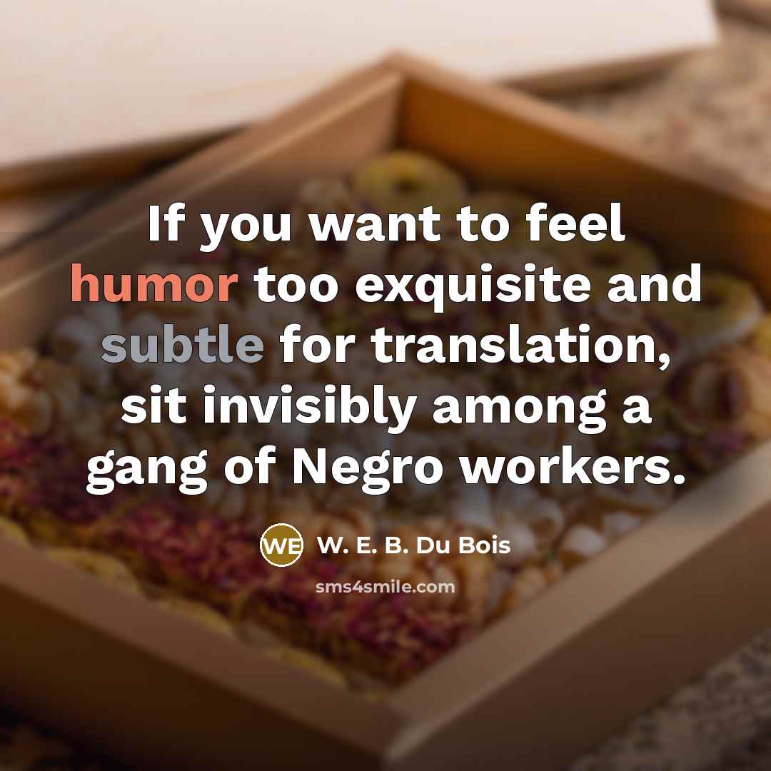 “If you want to feel humor too exquisite and subtle…” quote by W. E. B. Du Bois