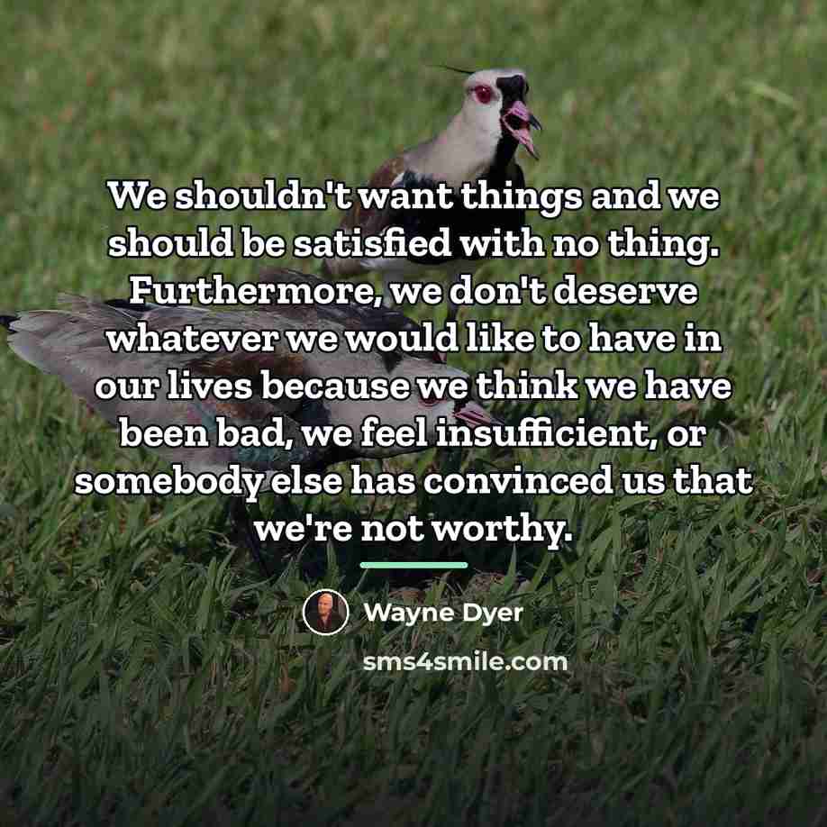 “We shouldn't want things and we should be satisfied with…” quote by Wayne Dyer