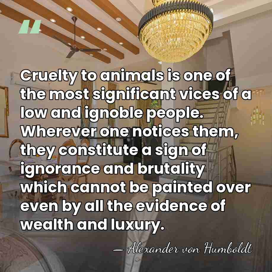Cruelty to animals is one of the most significant vices of a&hellip; - Alexander von Humboldt