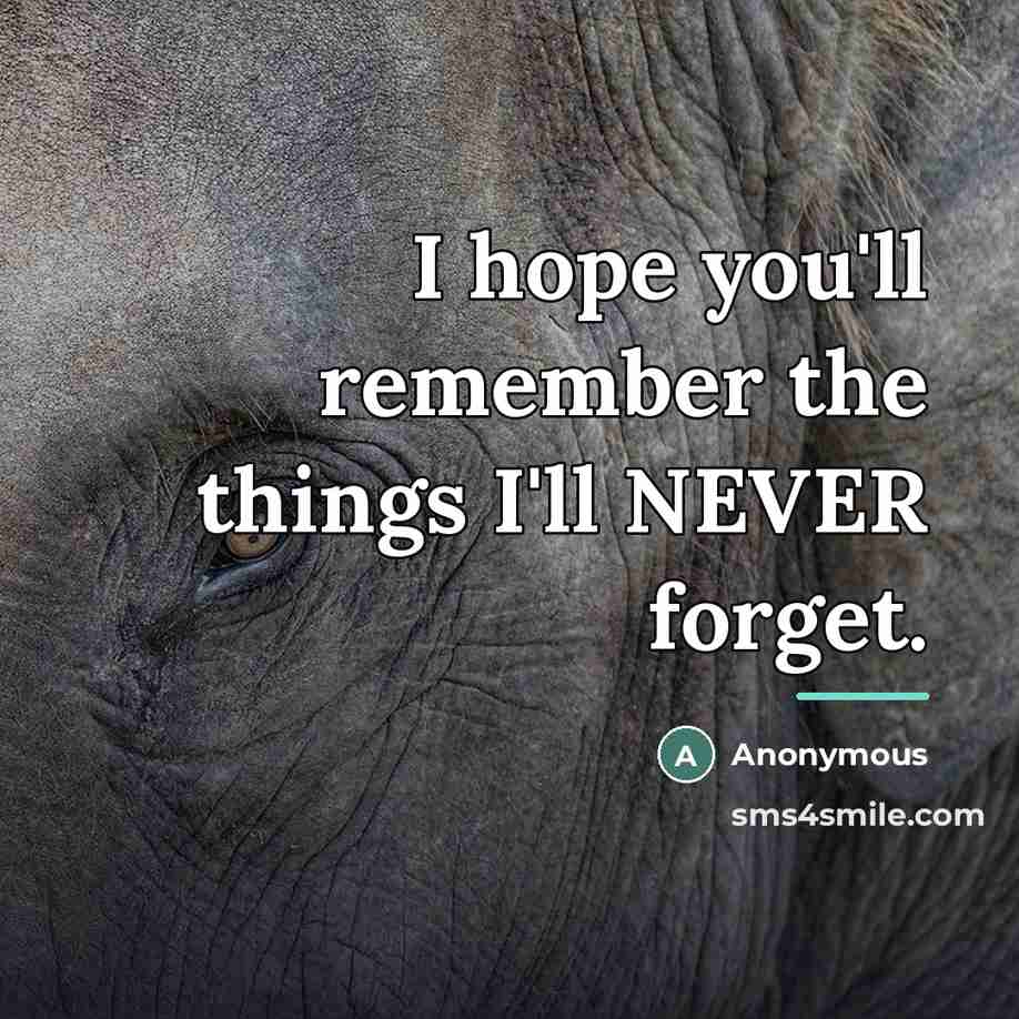 “I hope you'll remember the things I'll NEVER forget.…” quote by Anonymous