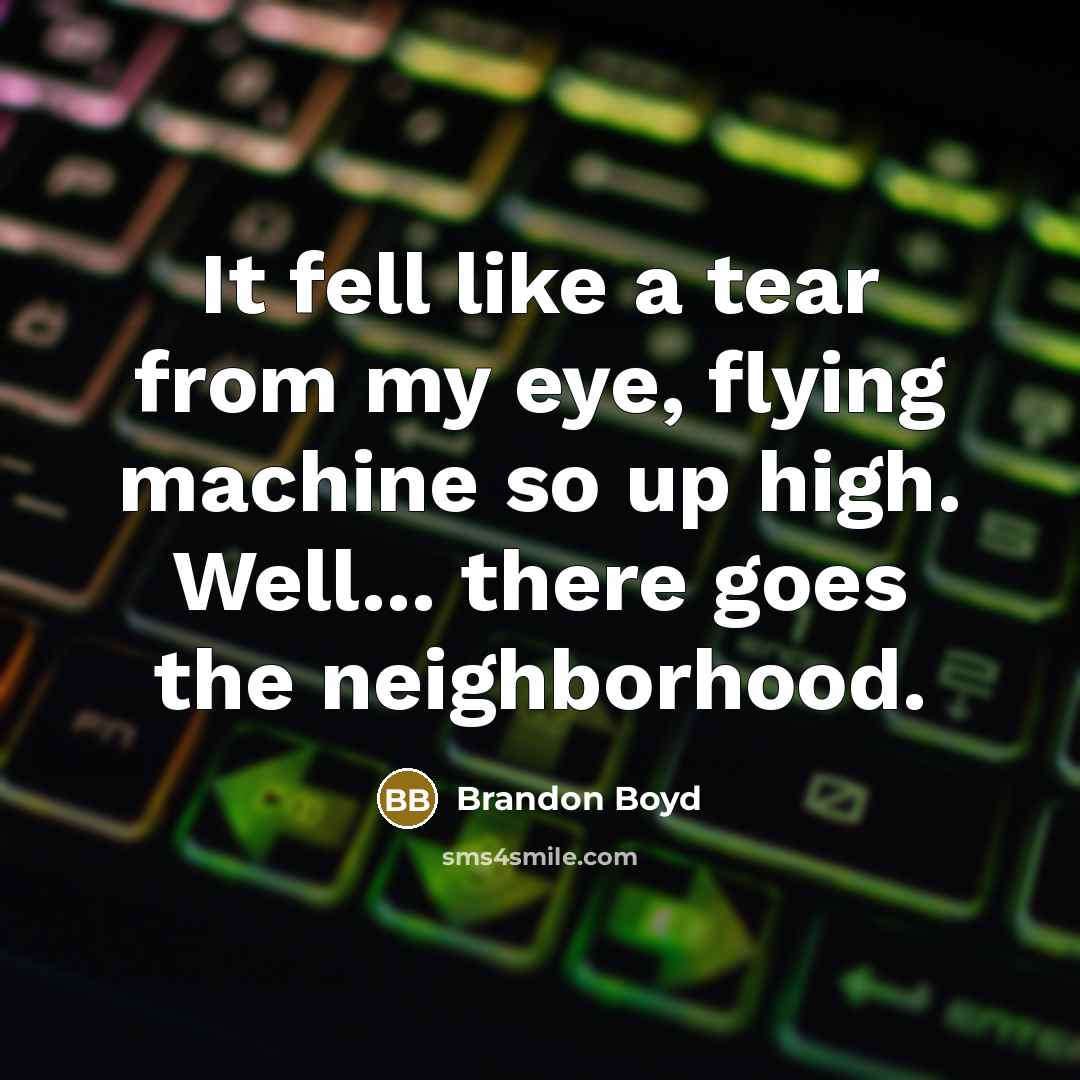 “It fell like a tear from my eye, flying machine…” quote by Brandon Boyd