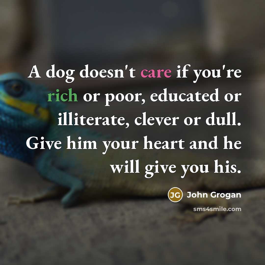 “A dog doesn't care if you're rich or poor, educated or illiterate, clever or dull. Give him your heart and he will give you his.” quote by John Grogan