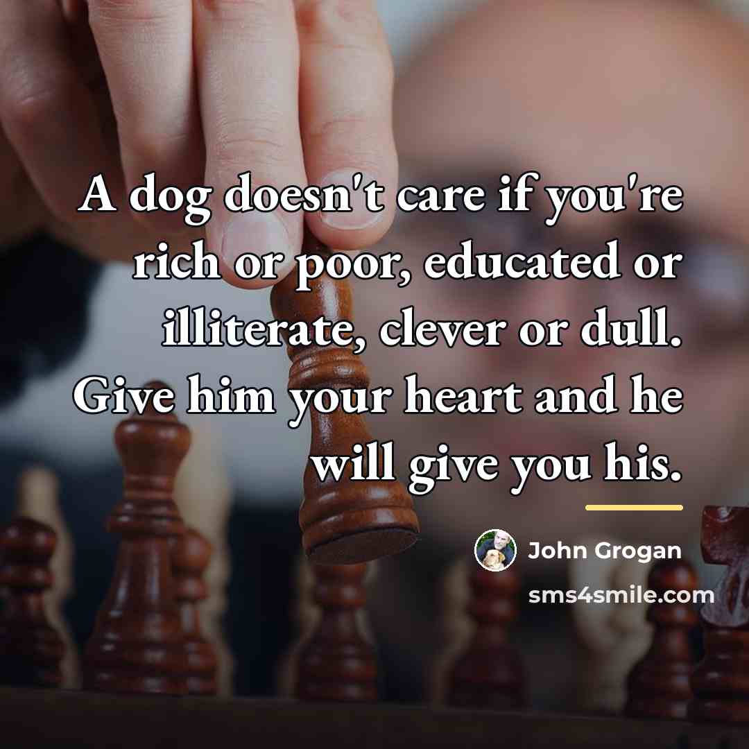 “A dog doesn't care if you're rich or poor, educated…” quote by John Grogan
