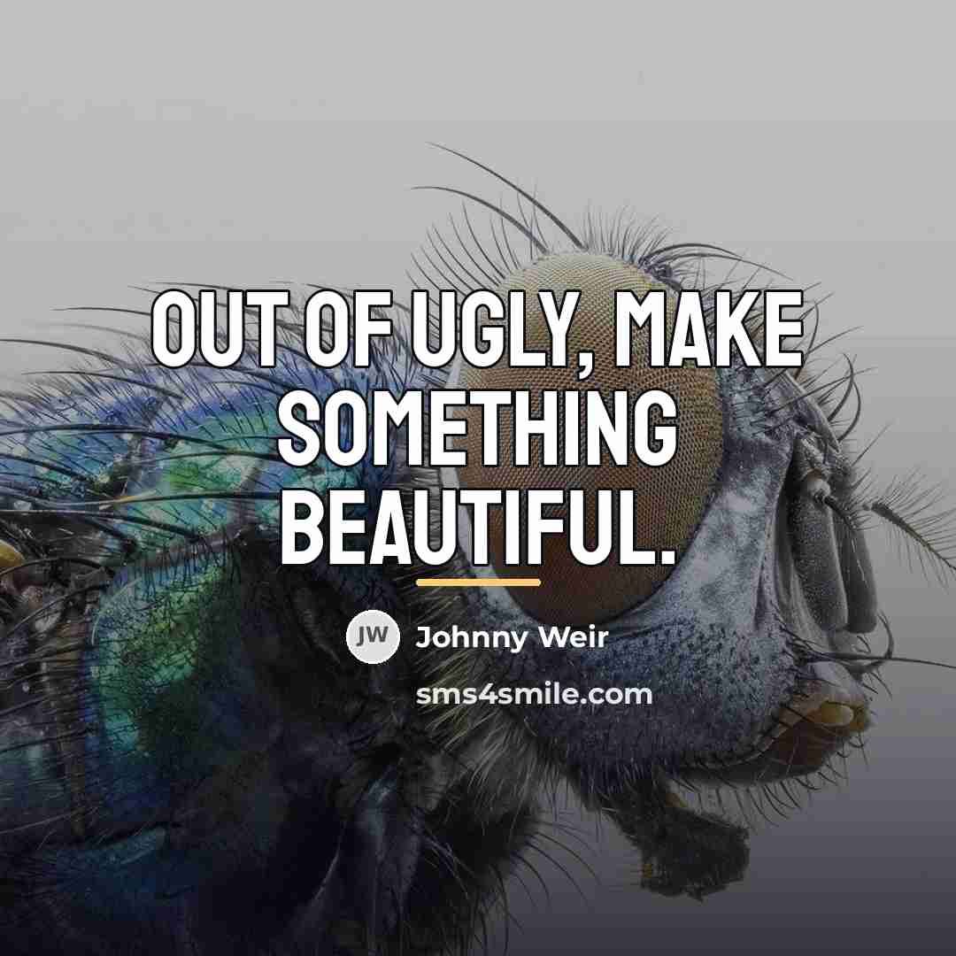 “Out of ugly, make something beautiful.…” quote by Johnny Weir