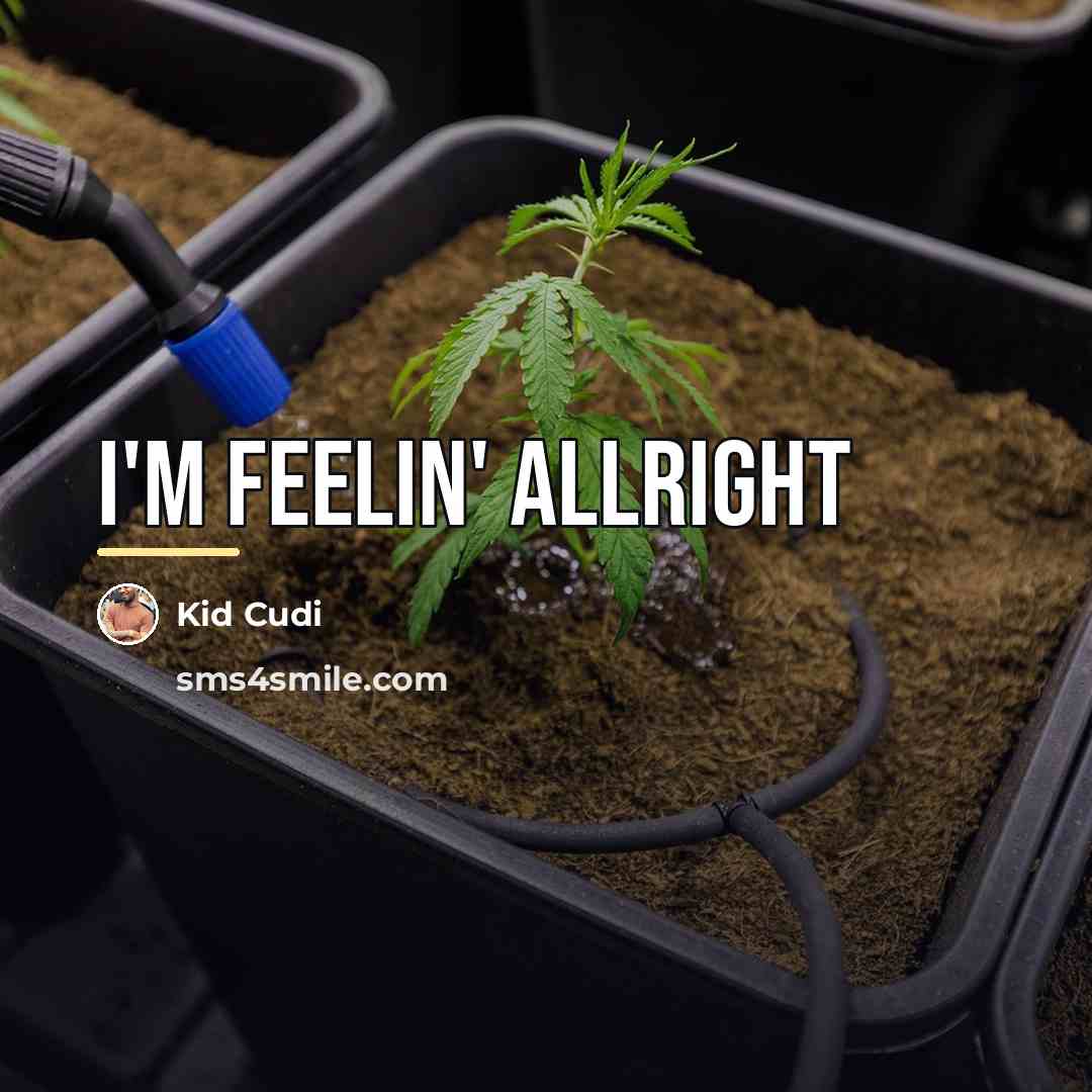 “I'm feelin' allright…” quote by Kid Cudi
