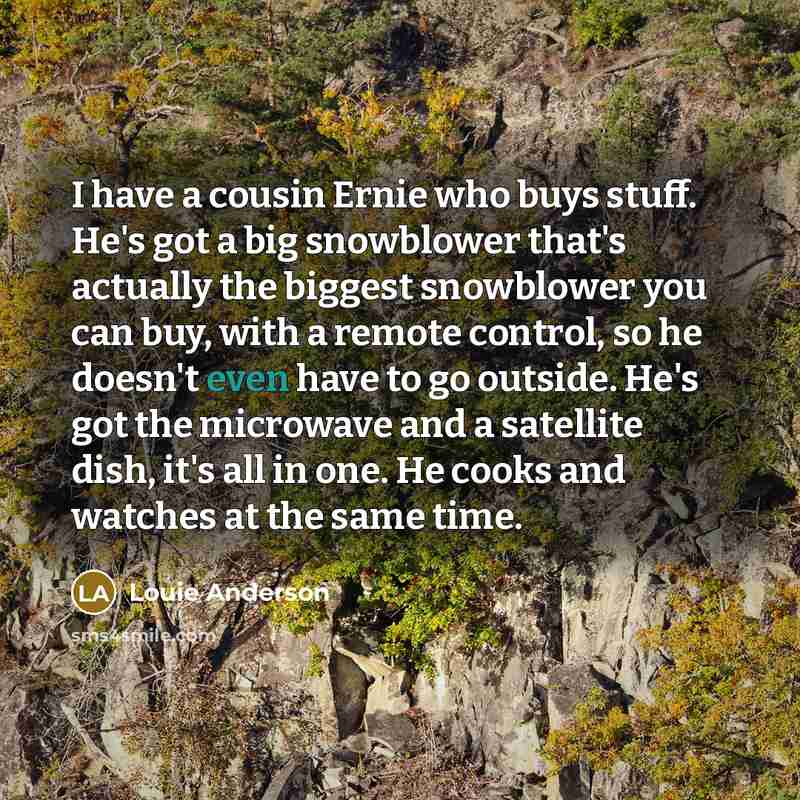 “I have a cousin Ernie who buys stuff. He's got…” quote by Louie Anderson
