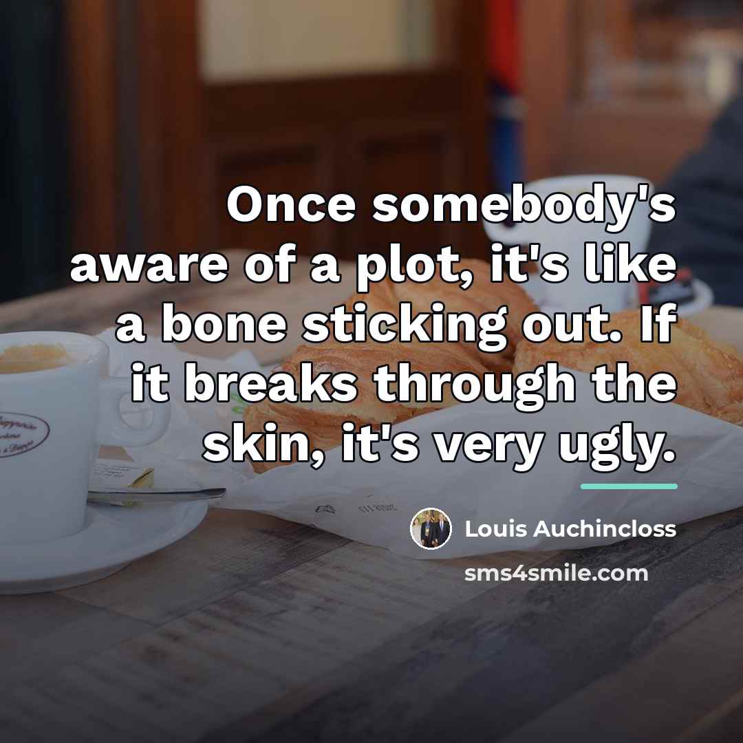 “Once somebody's aware of a plot, it's like a bone…” quote by Louis Auchincloss