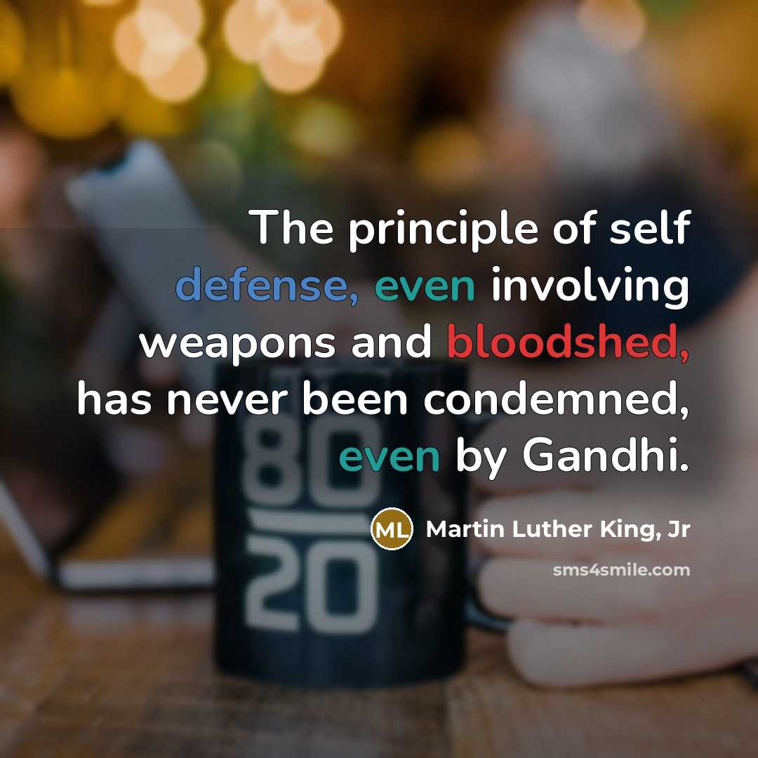 “The principle of self defense, even involving weapons and bloodshed,…” quote by Martin Luther King, Jr