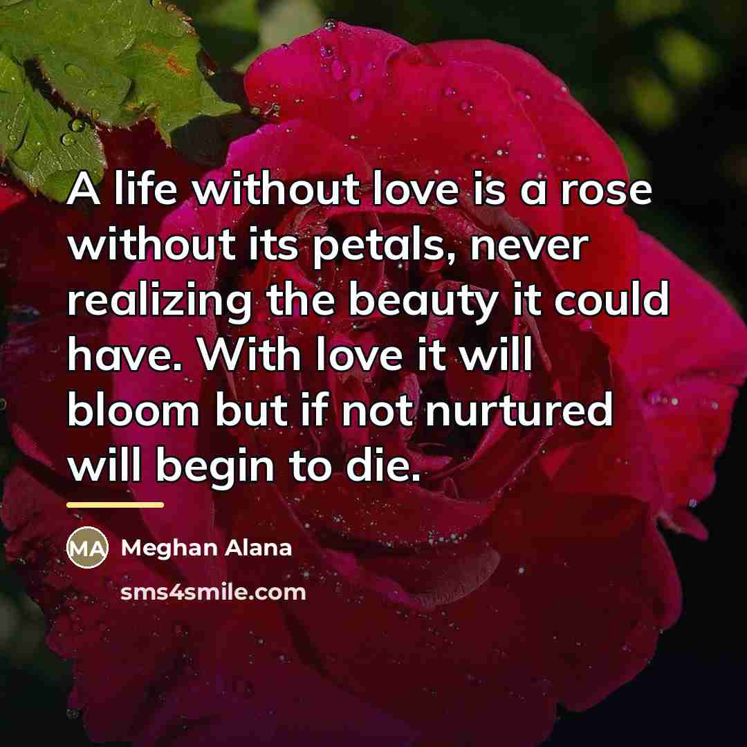 “A life without love is a rose without its petals,…” quote by Meghan Alana