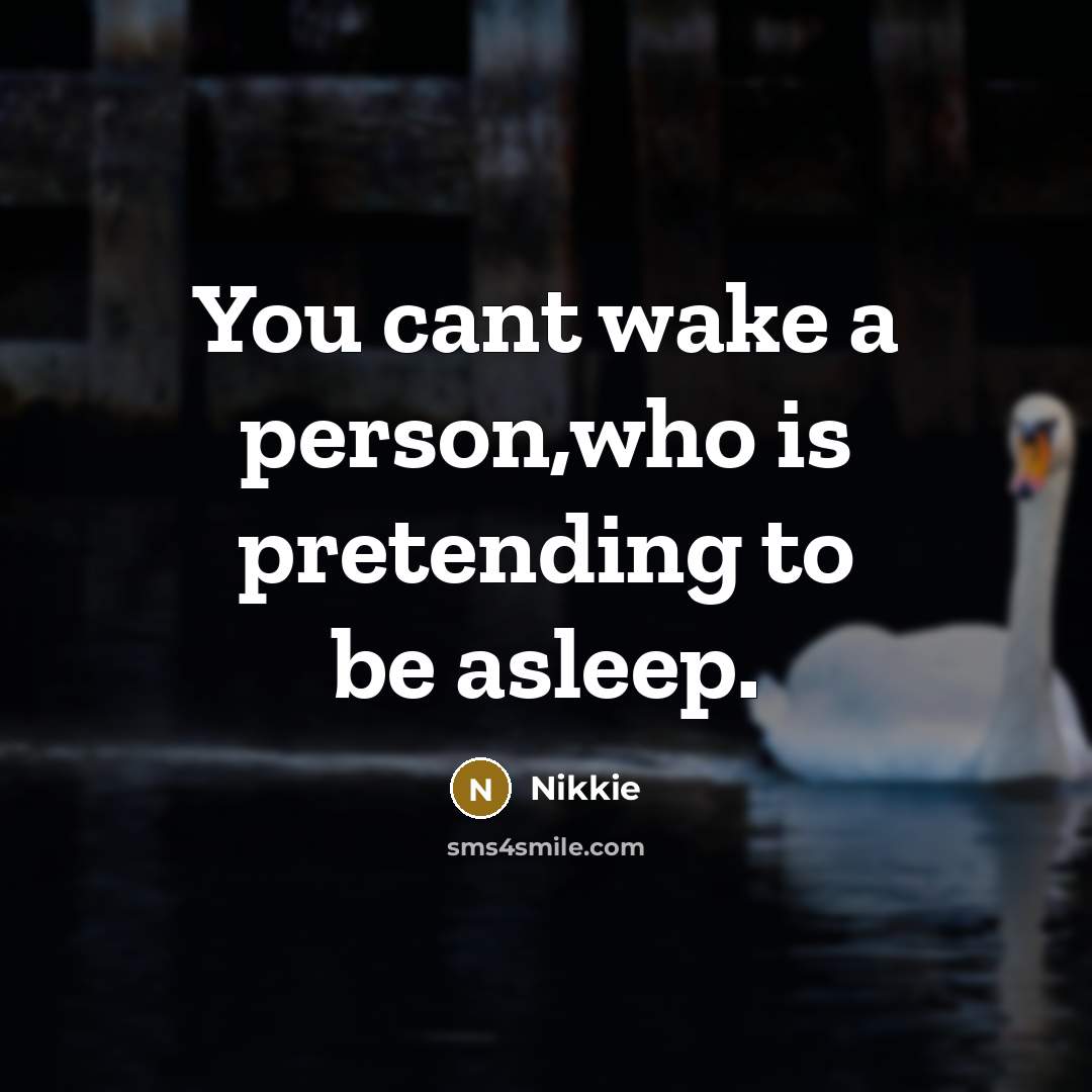 “You cant wake a person,who is pretending to be asleep.…” quote by Nikkie