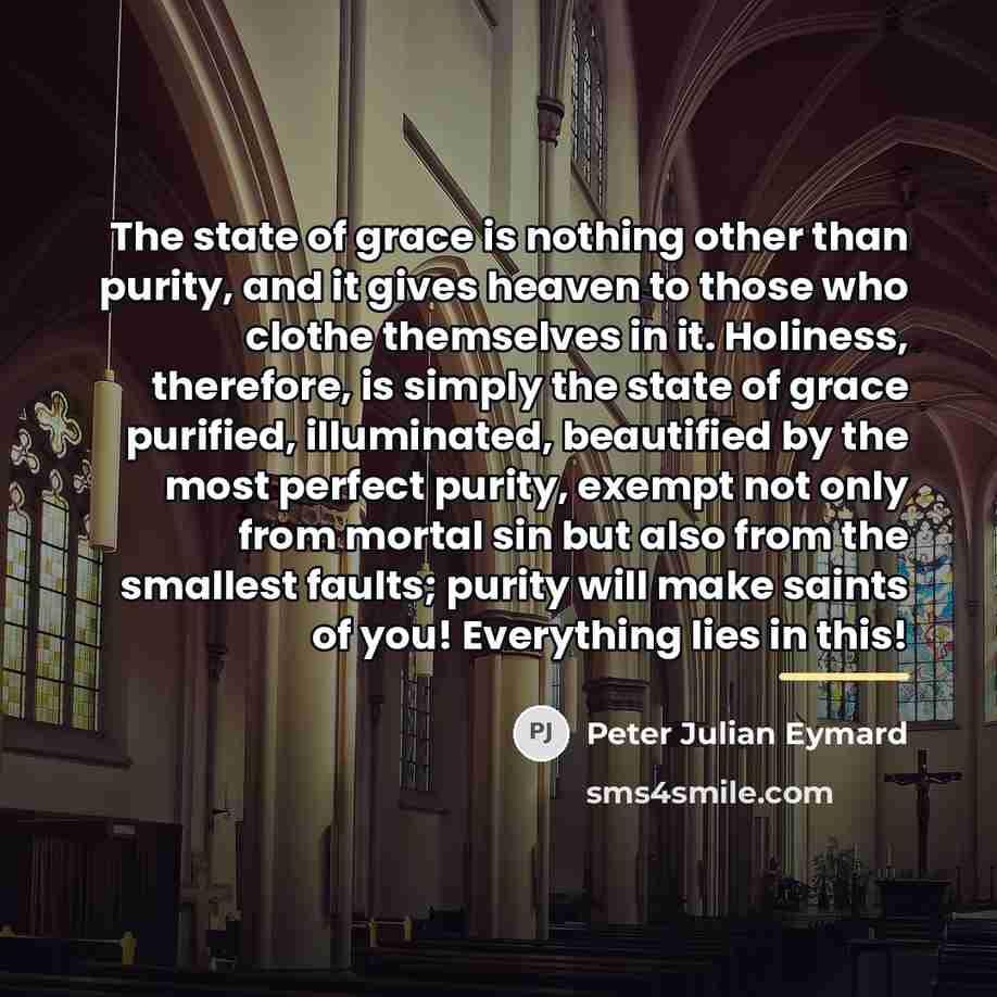 “The state of grace is nothing other than purity, and…” quote by Peter Julian Eymard