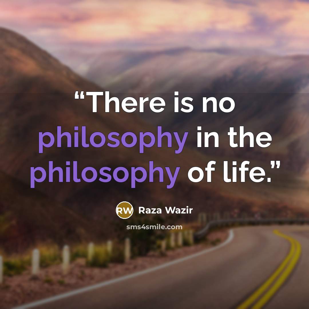 “There is no philosophy in the philosophy of life.” quote by Raza Wazir