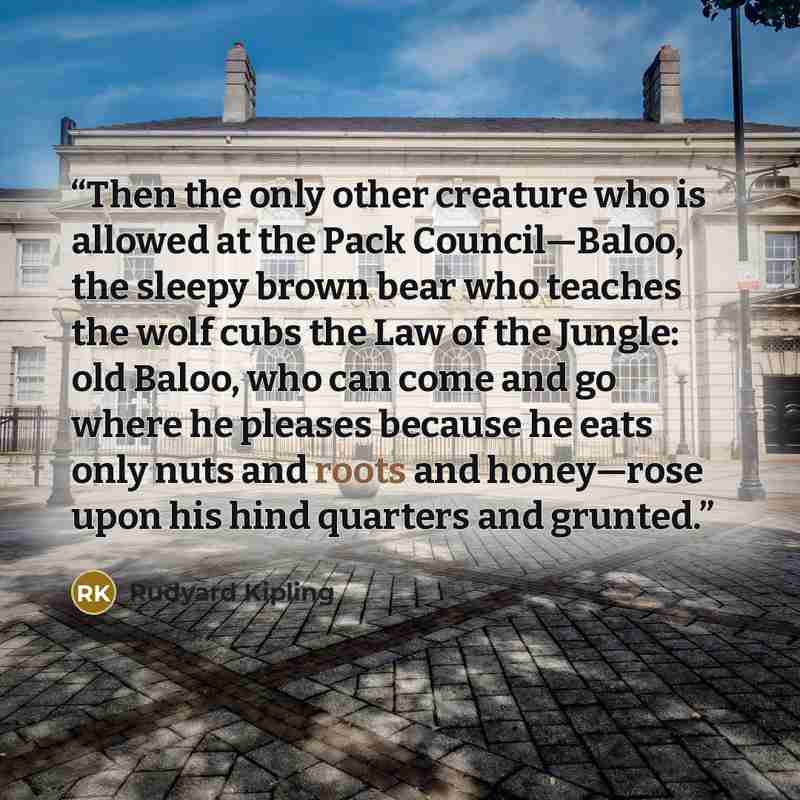 “Then the only other creature who is allowed at the Pack Council—Baloo, the sleepy brown bear who teaches the wolf cubs the Law of the Jungle: old Baloo, who can come and go where he pleases because he eats only nuts and roots and honey—rose upon his hind quarters and grunted.” quote by Rudyard Kipling