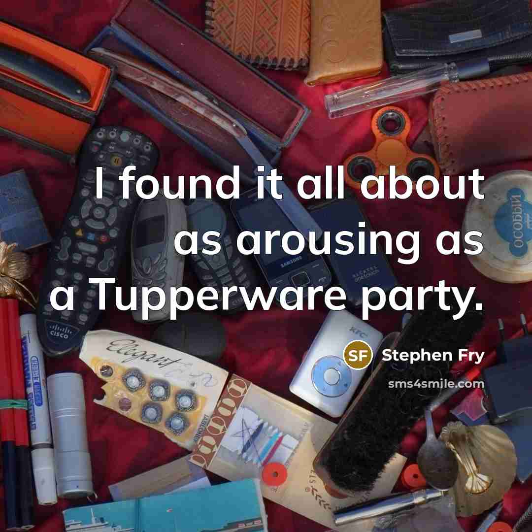 “I found it all about as arousing as a Tupperware…” quote by Stephen Fry