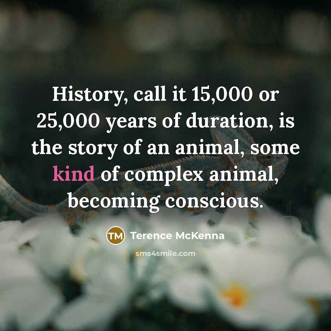 “History, call it 15,000 or 25,000 years of duration, is…” quote by Terence McKenna