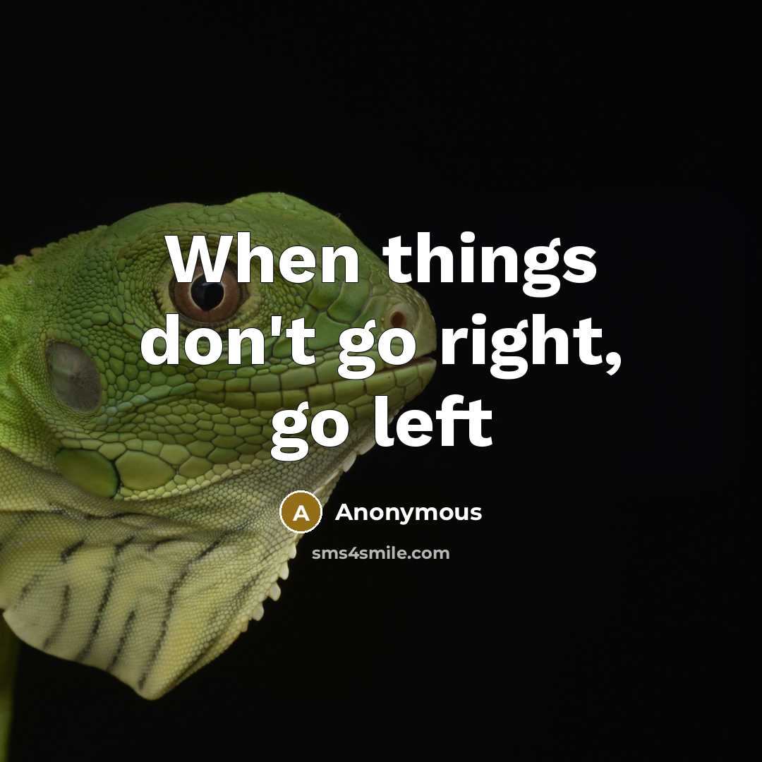 “When things don't go right, go left” quote by Anonymous