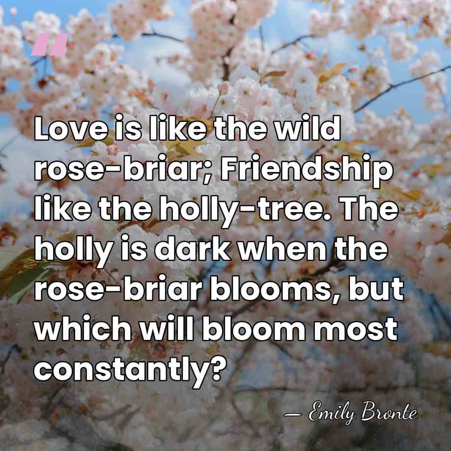 Love is like the wild rose-briar; Friendship like the holly-tree. The holly&hellip; - Emily Bronte