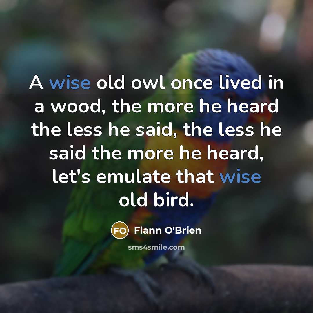“A wise old owl once lived in a wood, the…” quote by Flann O'Brien