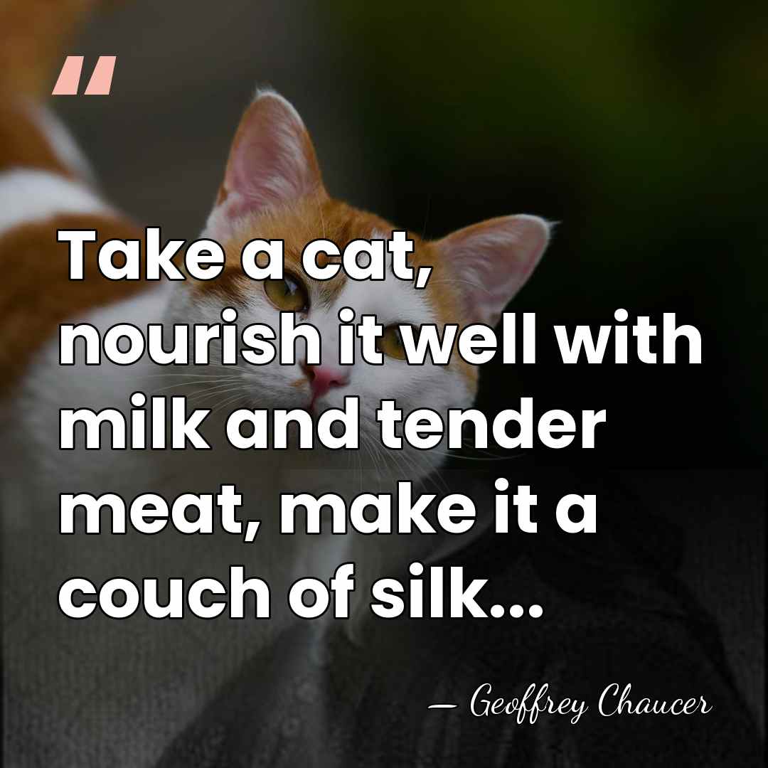 Take a cat, nourish it well with milk and tender meat, make&hellip; - Geoffrey Chaucer