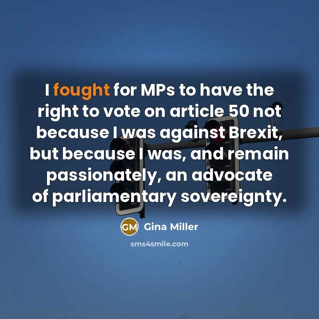 “I fought for MPs to have the right to vote…” quote by Gina Miller