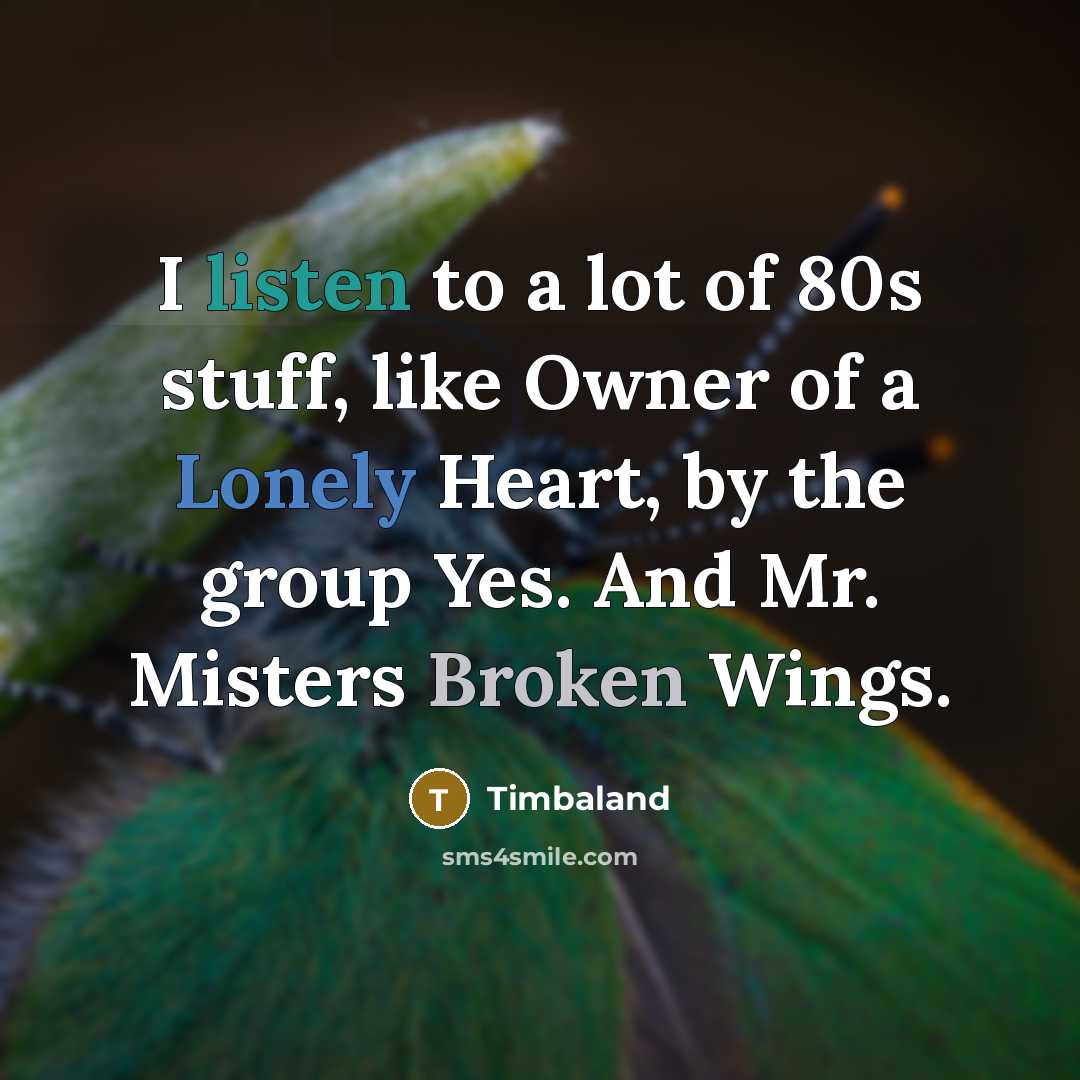 “I listen to a lot of 80s stuff, like Owner…” quote by Timbaland
