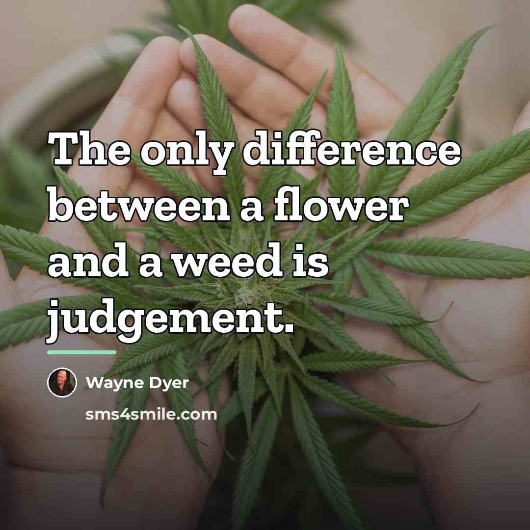 “The only difference between a flower and a weed is…” quote by Wayne Dyer