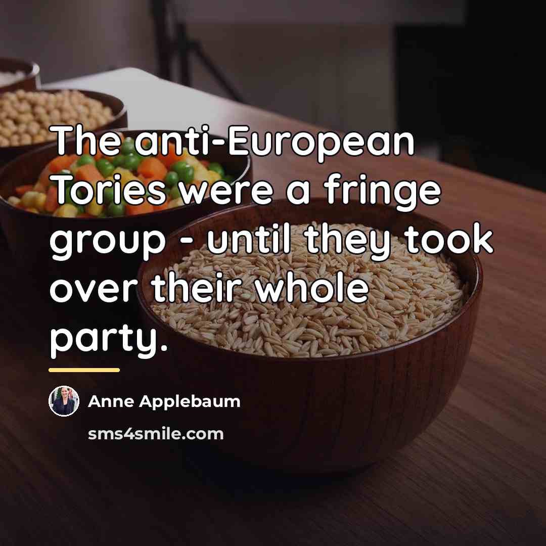 “The anti-European Tories were a fringe group - until they…” quote by Anne Applebaum