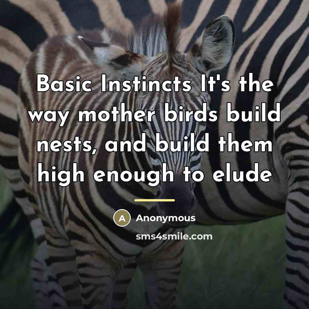 “Basic Instincts It's the way mother birds build nests, and…” quote by Anonymous