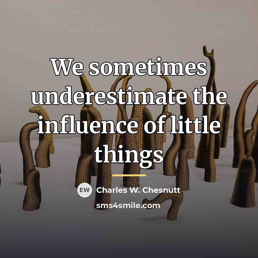 “We sometimes underestimate the influence of little things…” quote by Charles W. Chesnutt