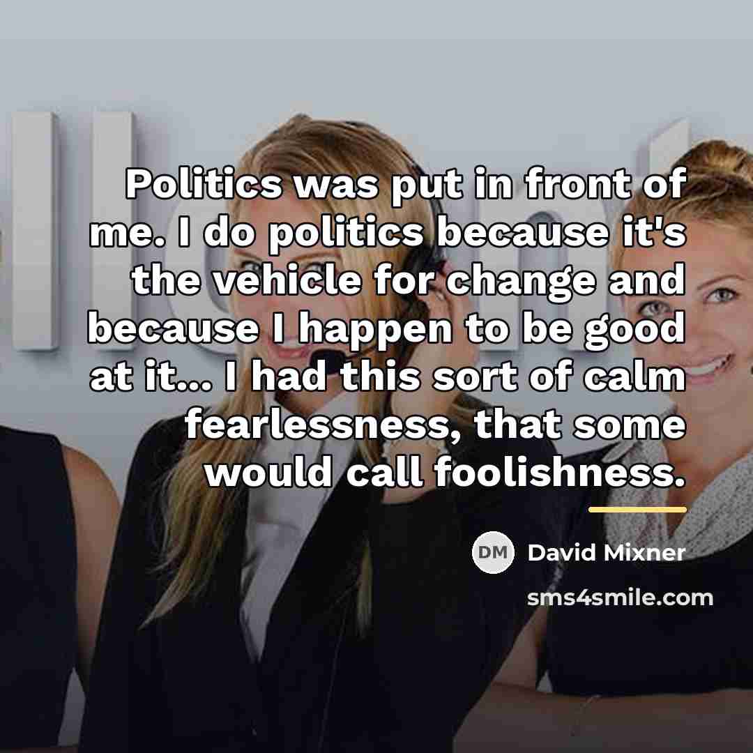 “Politics was put in front of me. I do politics…” quote by David Mixner
