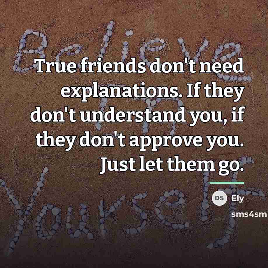 “True friends don't need explanations. If they don't understand you,…” quote by Ely