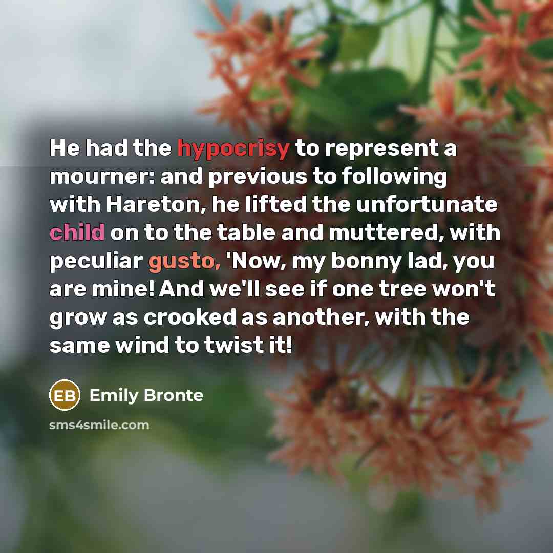 “He had the hypocrisy to represent a mourner: and previous…” quote by Emily Bronte