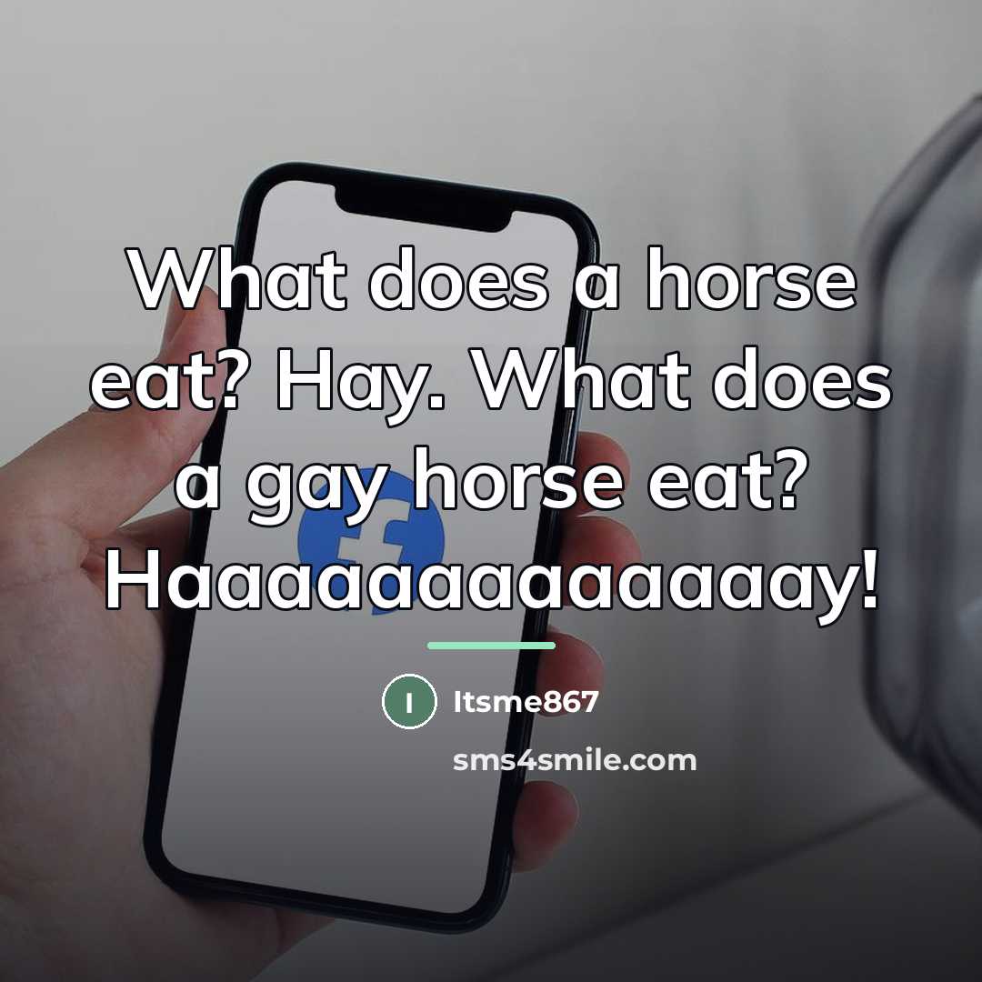 “What does a horse eat? Hay. What does a gay…” quote by Itsme867