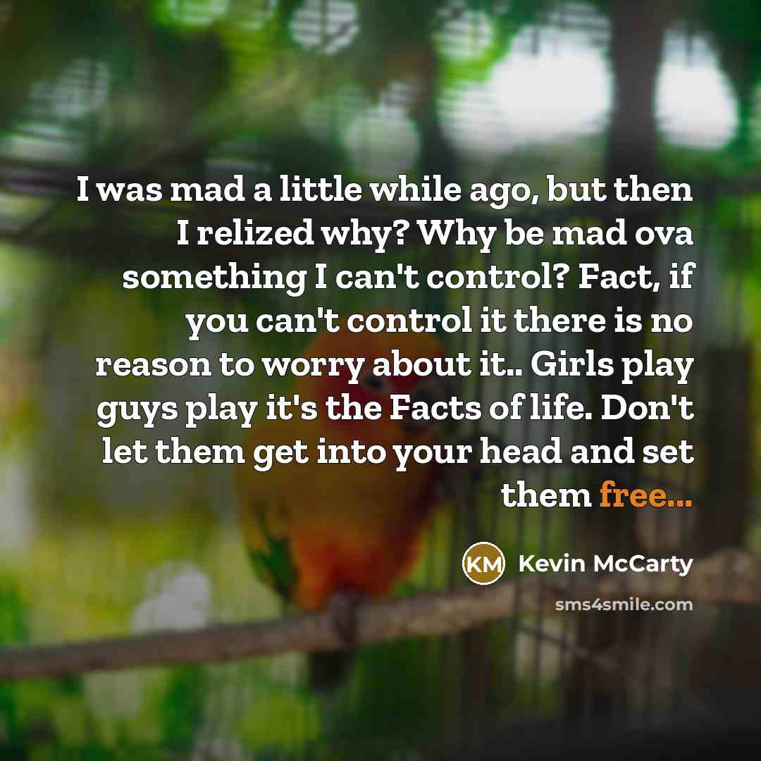 “I was mad a little while ago, but then I…” quote by Kevin McCarty
