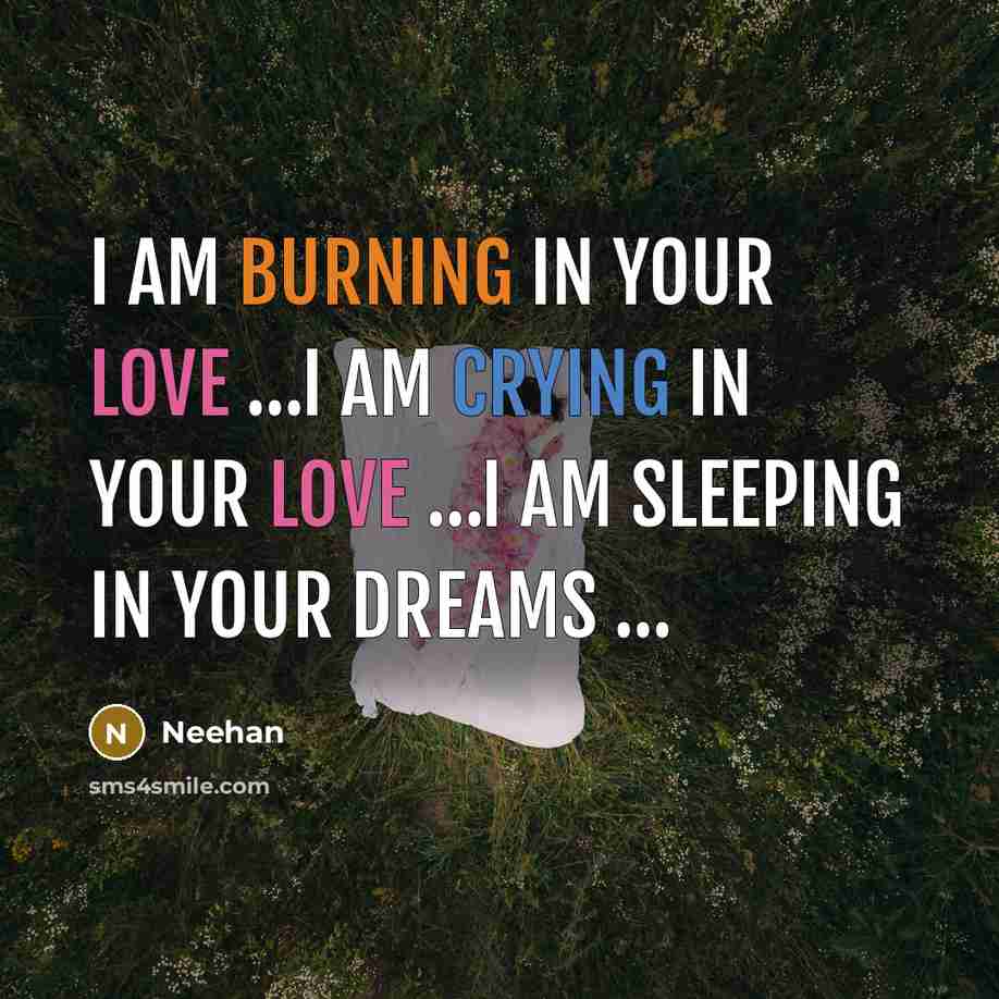 “I am burning in your love …i am crying in your love …i am sleeping in your dreams …” quote by Neehan