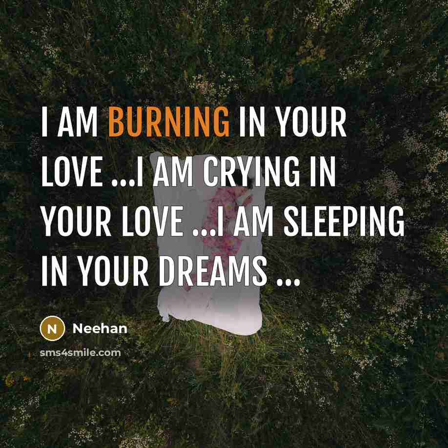 “I am burning in your love ....i am crying in…” quote by Neehan