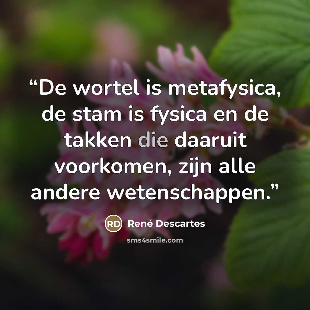 “De wortel is metafysica, de stam is fysica en de takken die daaruit voorkomen, zijn alle andere wetenschappen.” quote by René Descartes