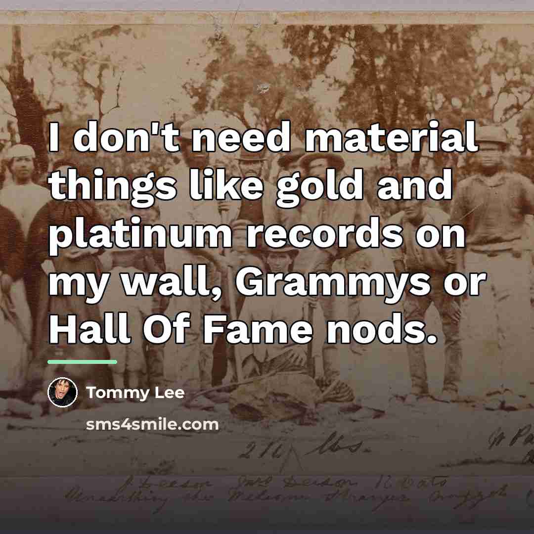 “I don't need material things like gold and platinum records…” quote by Tommy Lee
