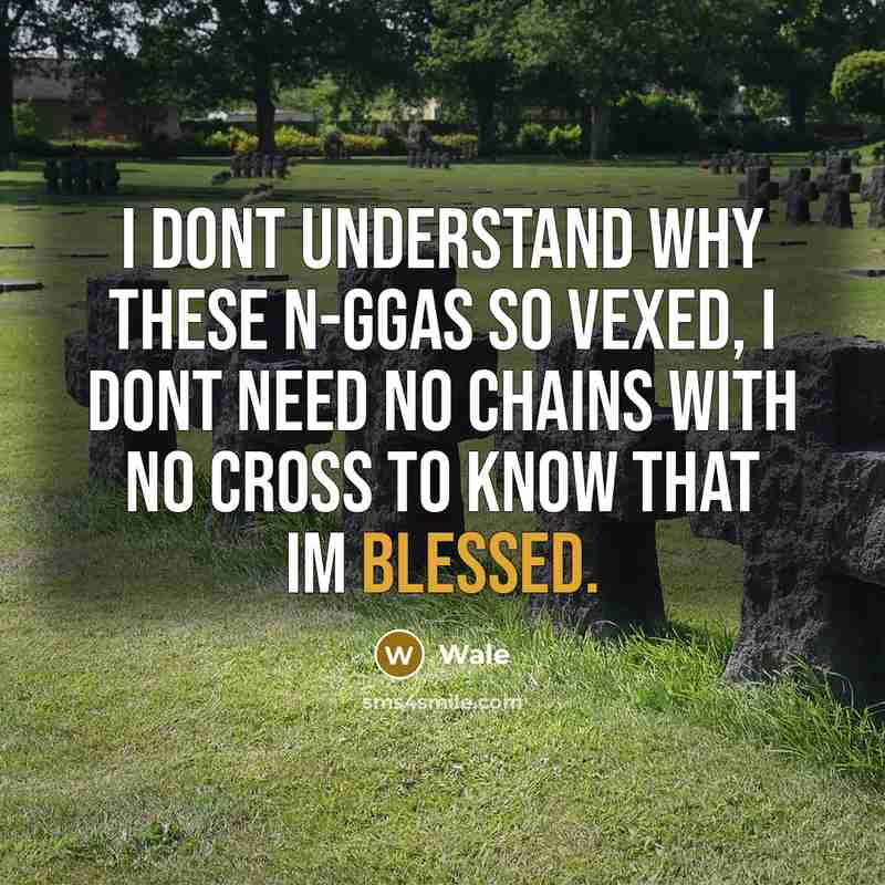 “I dont understand why these n-ggas so vexed, I dont need no chains with no cross to know that Im blessed.” quote by Wale