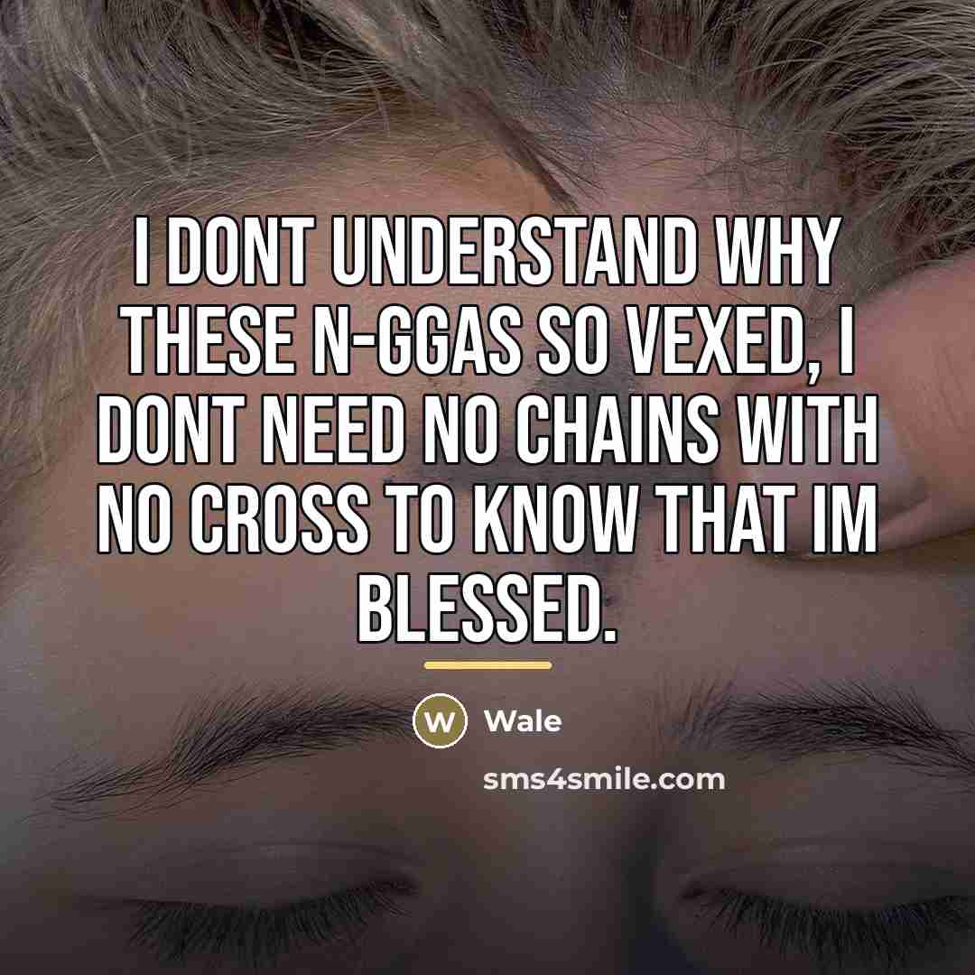 “I dont understand why these n-ggas so vexed, I dont…” quote by Wale