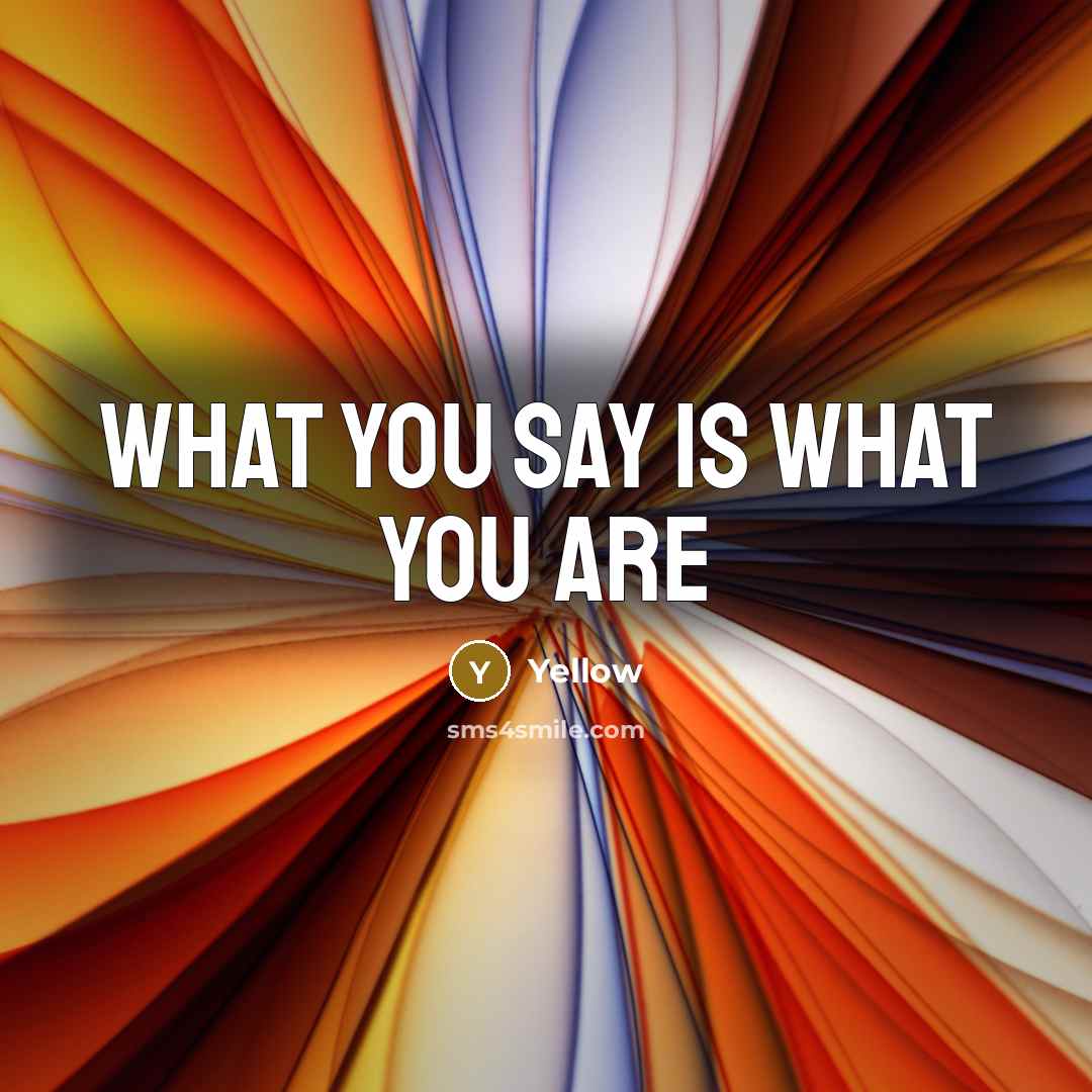 “What you say is what you are…” quote by Yellow